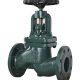 OS&Y Globe Valve