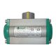 Pneutmatic Actuator