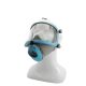 RM 809 Full Mask Respirator