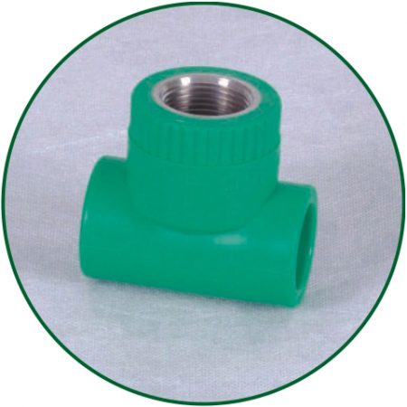 FEMALE-THREAD-TEE-01